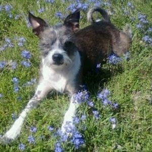 Meet your Posher, Crys